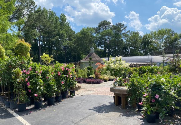 Garden Supply Company by null