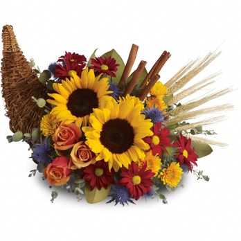Studio 9 FLOWERS - Floral Designers Near Me - Norwalk, Connecticut Studio 9 FLOWERS - Floral Designers Near Me - Norwalk, Connecticut