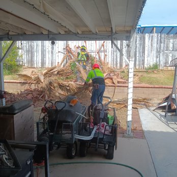 HLI Tree Experts - Tree Services Near Me
