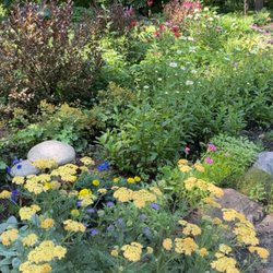 Friendship Botanic Gardens