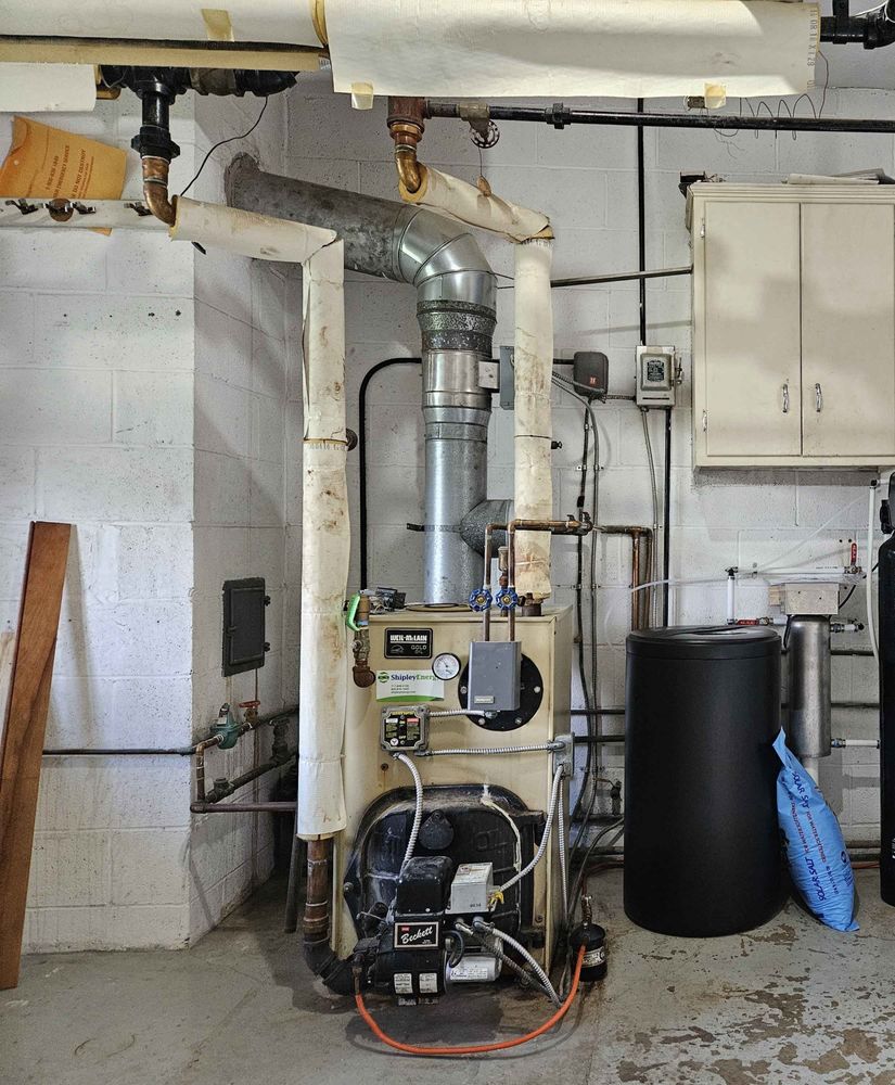 Slide of Fish Mechanical