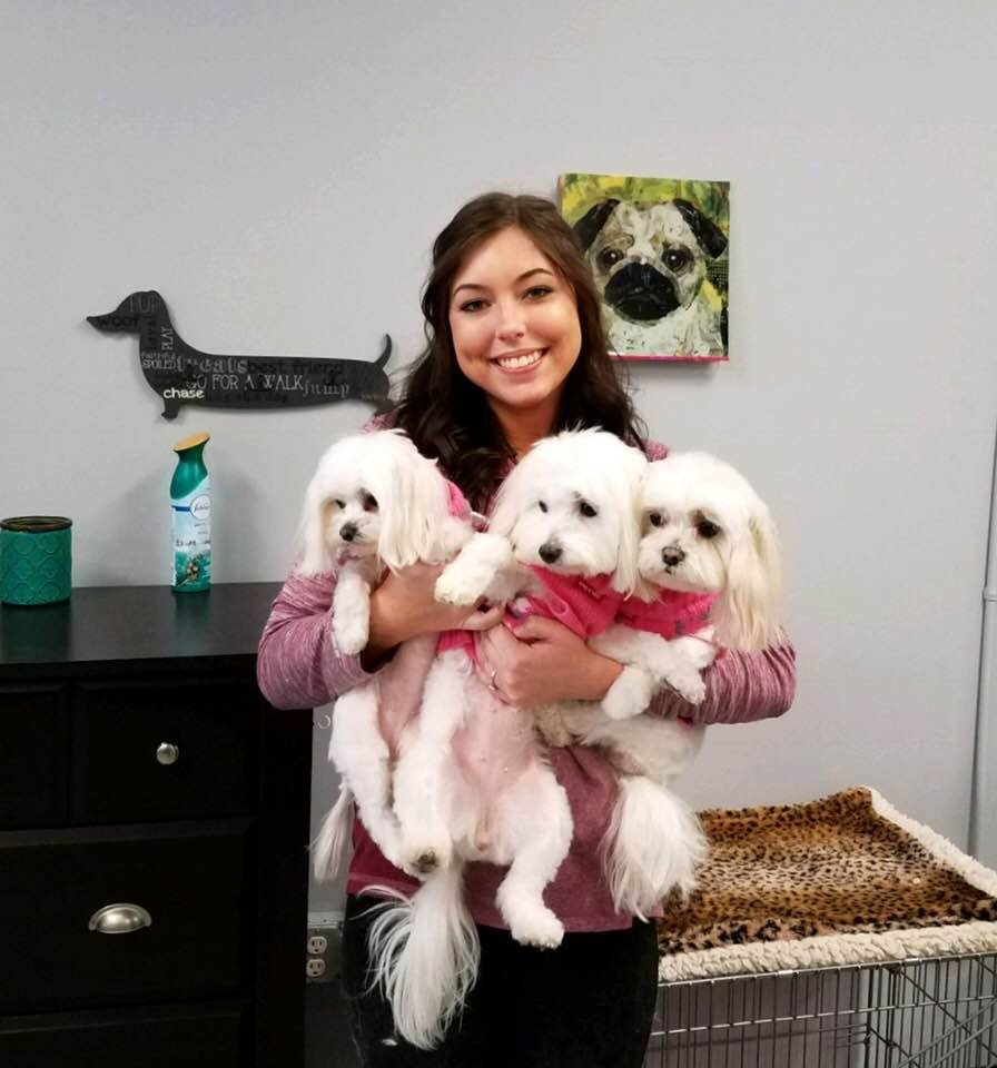 4 PAWS SPA AT DIAMOND CREEK Updated September 2024 12 Photos 6947