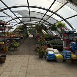 Hoelterhoff Nursery - Even in mid season they still offer a great selection of annuals, often on sale this time of year.