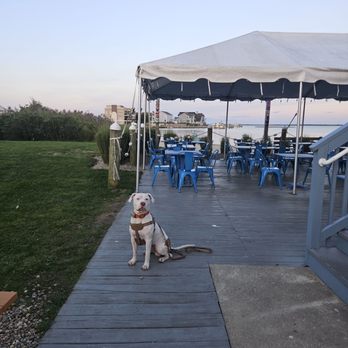 MJ's Restaurant Bar & Grill - American Near Me - Bayville, New Jersey MJ's Restaurant Bar & Grill - American Near Me - Bayville, New Jersey