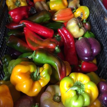 Little Ridge Farm - a basket full of peppers - CSA Near Me - Lisbon, Maine