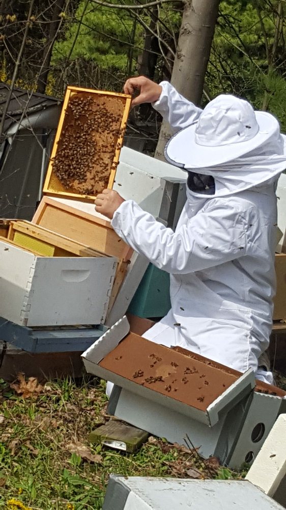 DANCING BEES HONEY FARM Updated August 2024 5750 Seeley Rd, Cayuta
