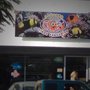 Photo of Acuario Lindo Pescadito