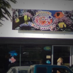 Acuario Lindo Pescadito - Acuario