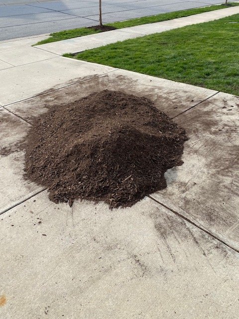 Slide of Indy Husband for Hire