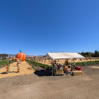 LJB Farms - Pumpkin Patch - Grocery Near Me - San Martin, California