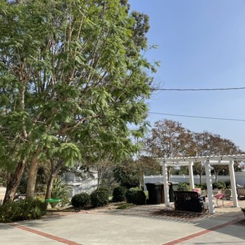 A & S Tree Service - Tree trimming in Fullerton, CA - Tree Services Near Me