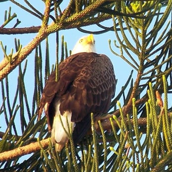 Shell Point Retirement Community - One of the residents :) - Retirement Homes Near Me - Fort Myers, Florida