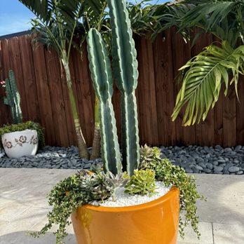 Sunset Nursery - Cactus and succulents - Nurseries & Gardening Near Me - Miami, Florida