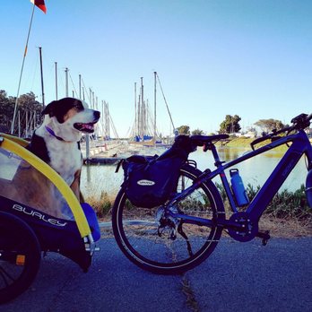 San Francisco Bay Trail - Reminding ourselves daily, all we have is time.... making the best memories.... - Parks Near Me - San Mateo, California San Francisco Bay Trail - Reminding ourselves daily, all we have is time.... making the best memories.... - Parks Near Me - San Mateo, California