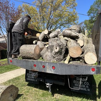 Hector Landscaping & Lawn Service - Lawn Services Near Me Hector Landscaping & Lawn Service - Lawn Services Near Me