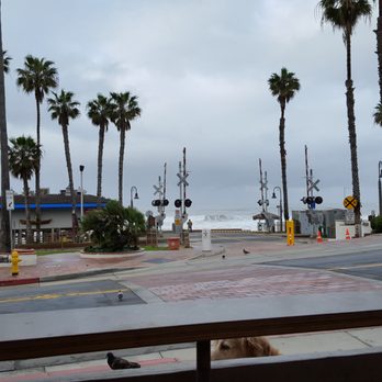 Bear Coast Coffee - Coffee & Tea Near Me - San Clemente, California Bear Coast Coffee - Coffee & Tea Near Me - San Clemente, California