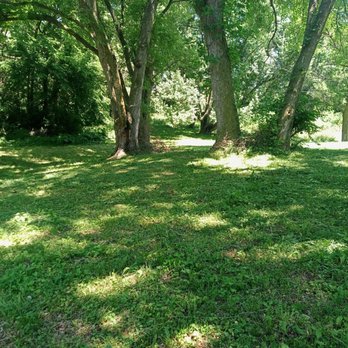 DH Tree Service - After - Tree Services Near Me - La Vista, Nebraska DH Tree Service - After - Tree Services Near Me - La Vista, Nebraska