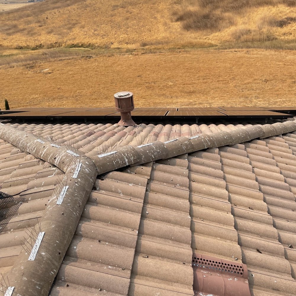 spike on the roof spike on the roof