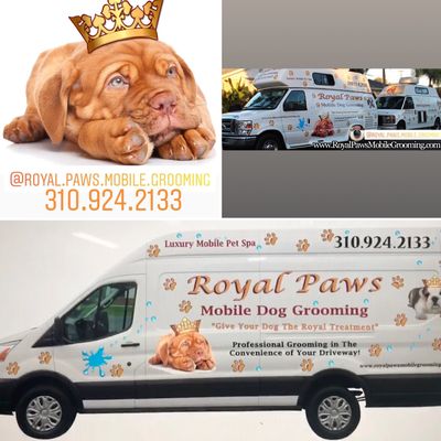 royal spa mobile pet grooming