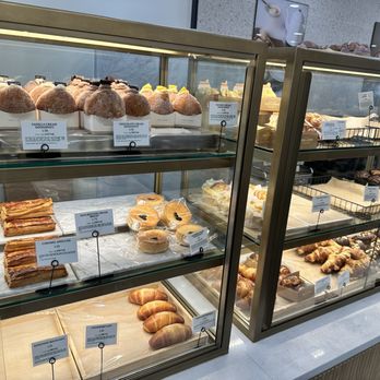 Tous Les Jours - pastry case - Bakeries Near Me - Oxford, Ohio Tous Les Jours - pastry case - Bakeries Near Me - Oxford, Ohio