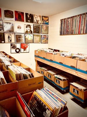 DBZ Books ‘N’ Records by null
