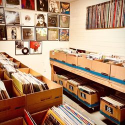 DBZ Books 'N' Records - One area of vinyl records. Wide variety of genres