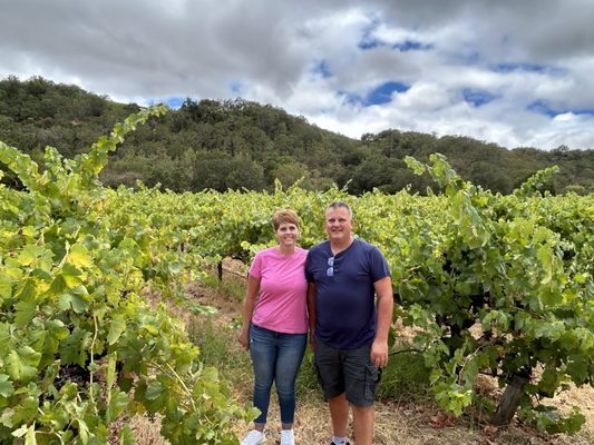 Pushpak Wine Country Tours by null