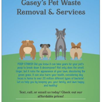 Pet waste removal services best sale near me