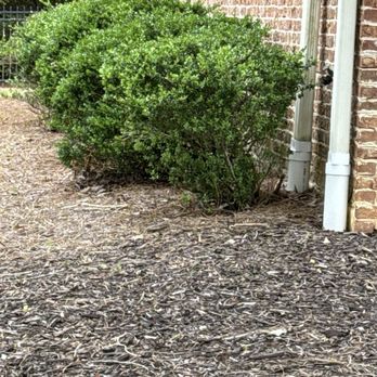 Bloom'n Gardens Landscape - Landscaping Near Me - Mableton, Georgia