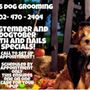 Photo of Mel's Dog Grooming