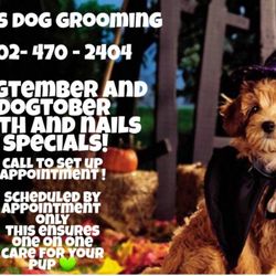 Mel's Dog Grooming - Fall specials