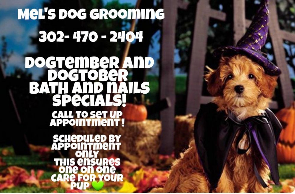 Mel's Dog Grooming Image