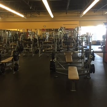 Arbor Fit Club - Variety of Bench Press's !! - Gyms Near Me - Ann Arbor, Michigan Arbor Fit Club - Variety of Bench Press's !! - Gyms Near Me - Ann Arbor, Michigan