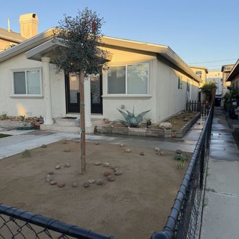 LJ’S Landscaping - After- Olive tree with DG - Landscaping Near Me