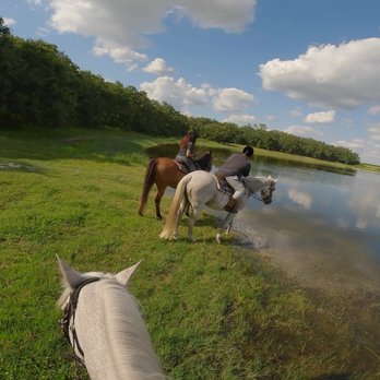 Horsespring Farm - This is there 2 hour with beautiful views and beautiful skies and wildlife. - Horse Boarding Near Me - Lake Wales, Florida Horsespring Farm - This is there 2 hour with beautiful views and beautiful skies and wildlife. - Horse Boarding Near Me - Lake Wales, Florida
