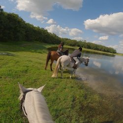 Horsespring Farm - This is there 2 hour with beautiful views and beautiful skies and wildlife.