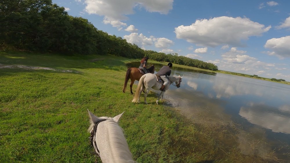 Horsespring Farm Image