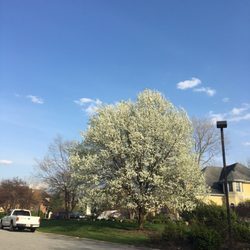 Briar Ridge Country Club - Spring has sprung