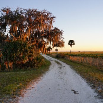 Kissimmee Prairie Preserve State Park - Parks Near Me - Okeechobee, Florida Kissimmee Prairie Preserve State Park - Parks Near Me - Okeechobee, Florida