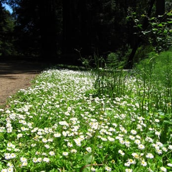 Joaquin Miller Park - May 21, 2011 - Parks Near Me - Oakland, California