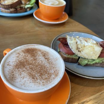The Daily - Inman Park - Coffee & Tea Near Me - Atlanta, Georgia