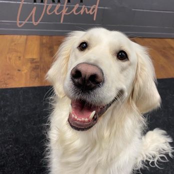The Barkery - Pet Stores Near Me - Tewksbury, Massachusetts The Barkery - Pet Stores Near Me - Tewksbury, Massachusetts