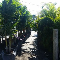 Four C's Nursery
