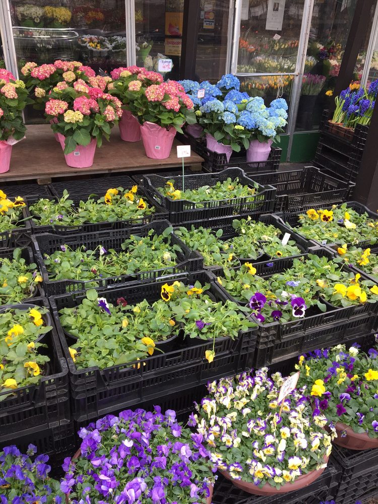 COS COB FARM Updated September 2024 61 E Putnam Ave, Cos Cob