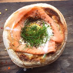 Salmon