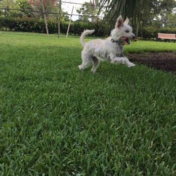 Barkland - Dog Parks Near Me - Parkland, Florida