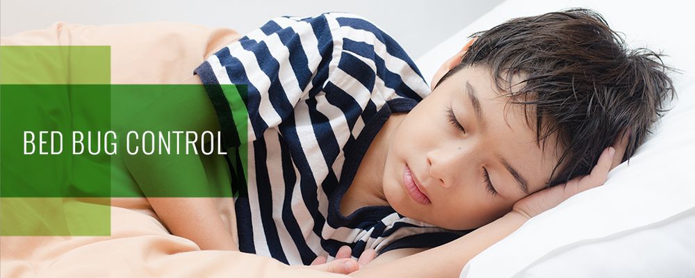 Pest Management - veterans service organization in Austin, TX