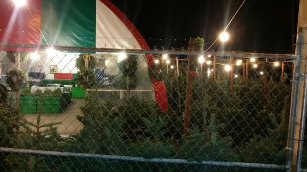 Tony's Market by null