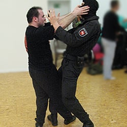 Dvt Kampfkunstschule Hannover