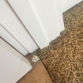 Maid Masters - Trash found on floor in obvious spot - Home Cleaning Near Me Maid Masters - Trash found on floor in obvious spot - Home Cleaning Near Me